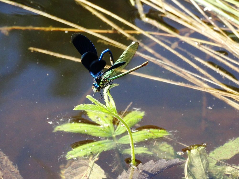 Photograph by Сергей Александрович