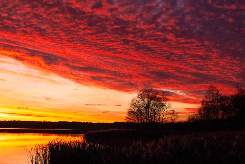 Фотография автора Александр Буренко