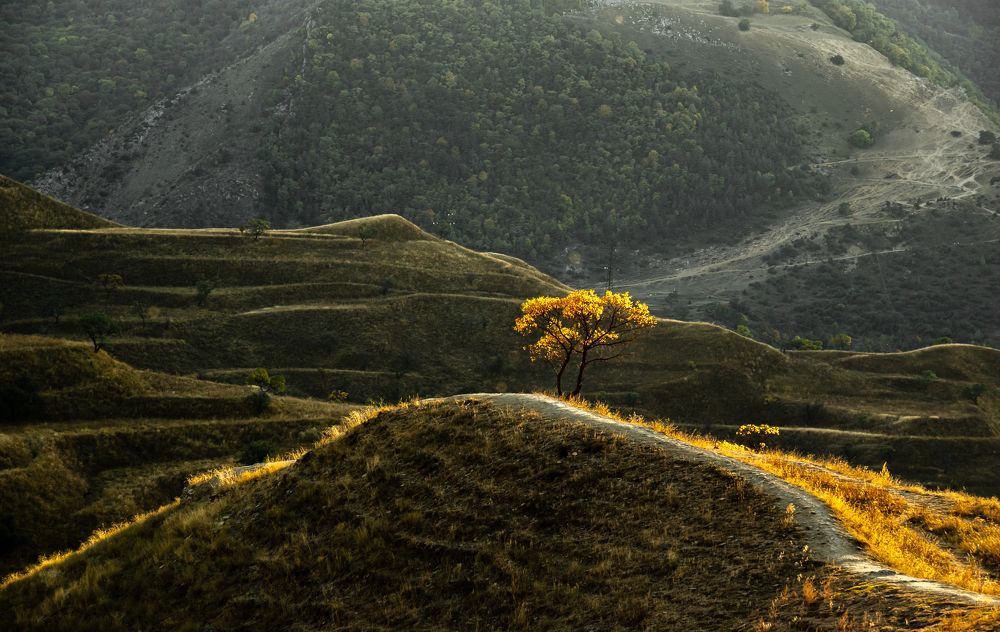 Photograph by Юрий Киреичев