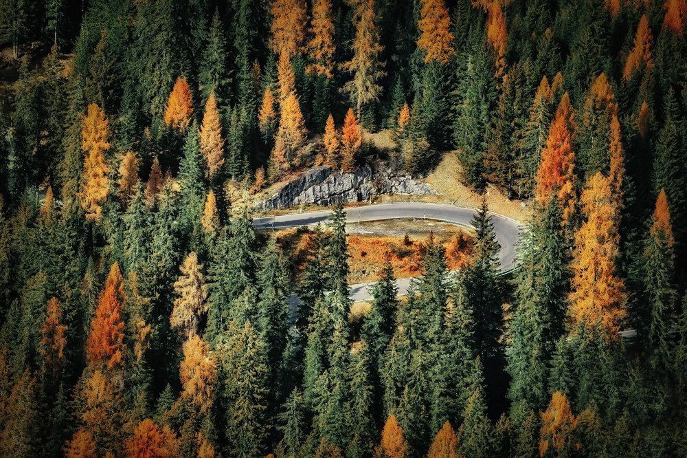 Photograph by Владимир Луценко