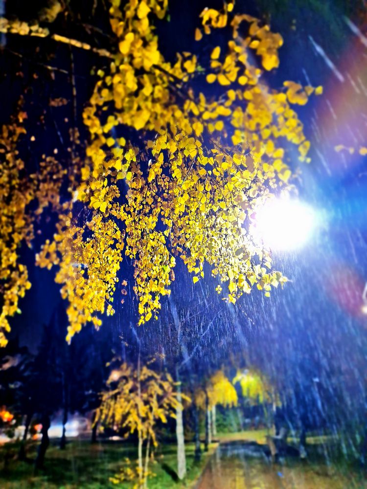 Photograph by Inessa Botasheva