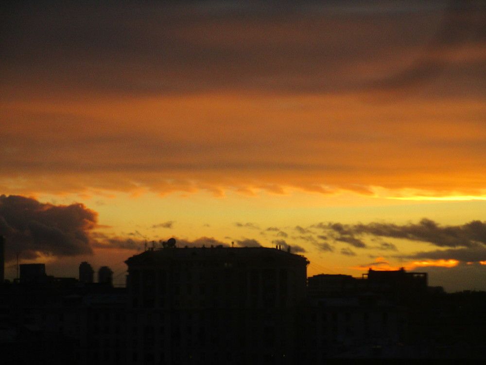 Photo #8345559