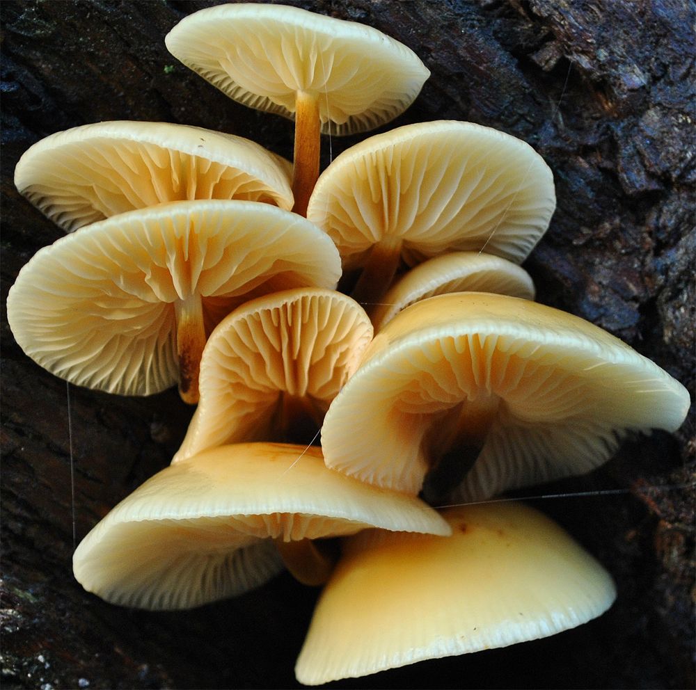 Photograph by Алексей