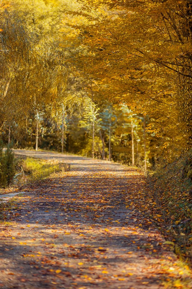 Photograph by Алина Макарова