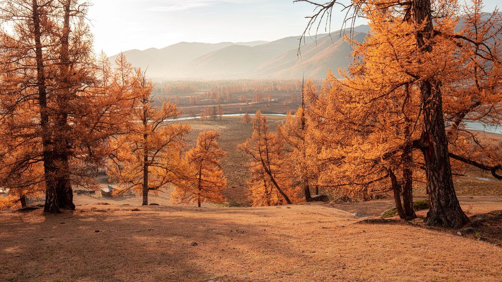 Photograph by Valius Photo