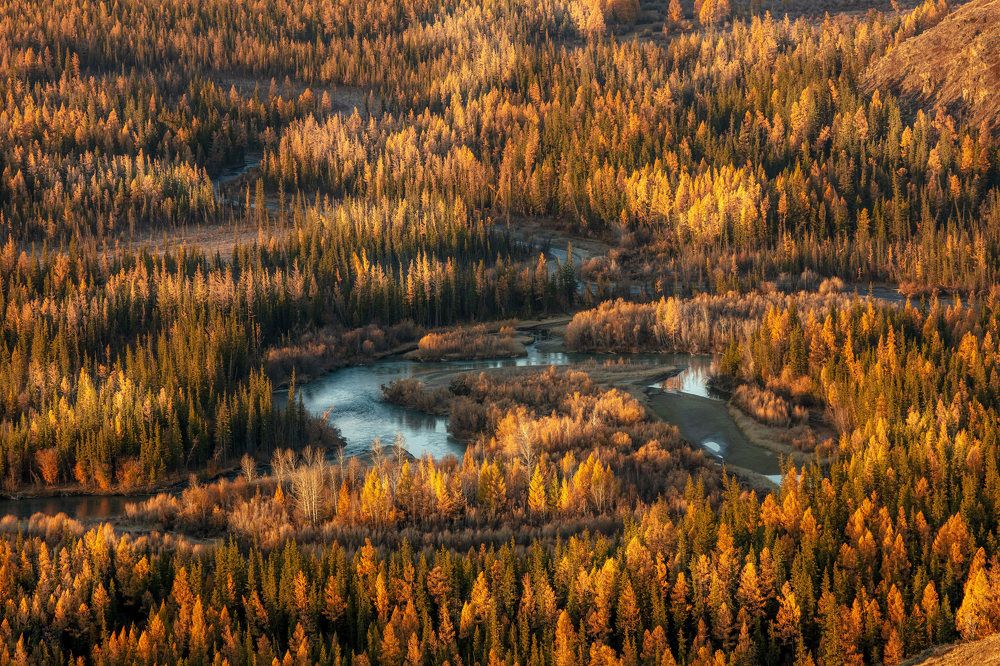 Photograph by Valius Photo