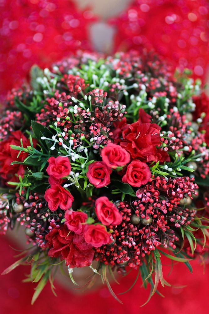 Photograph by Sachi Dissanayaka