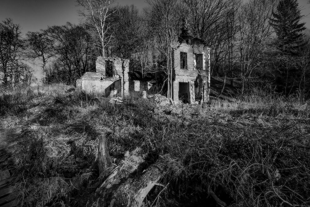 Photograph by Дмитрий Потапов