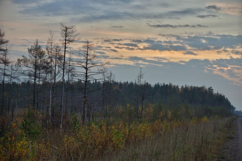 Photograph by lev ostanin