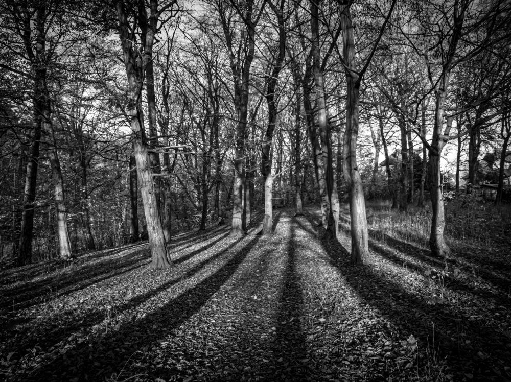 Photograph by Дмитрий Грошиков