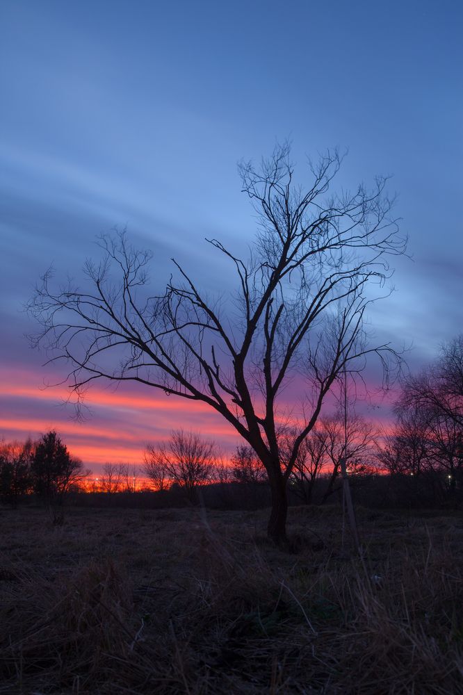 Photograph by Максим Бритько