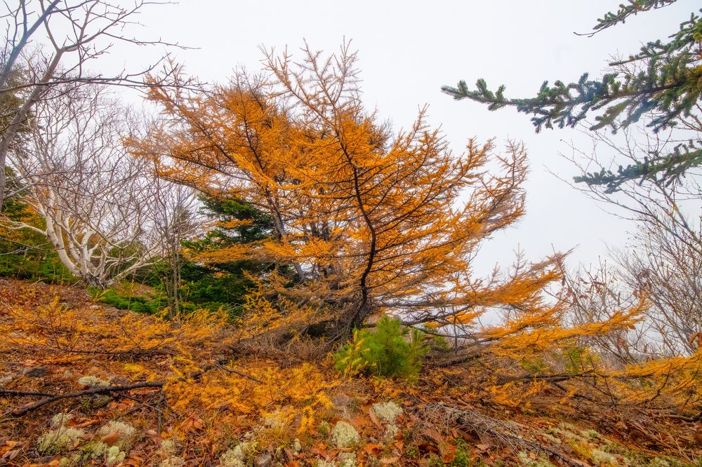 Photograph by Anna Turks