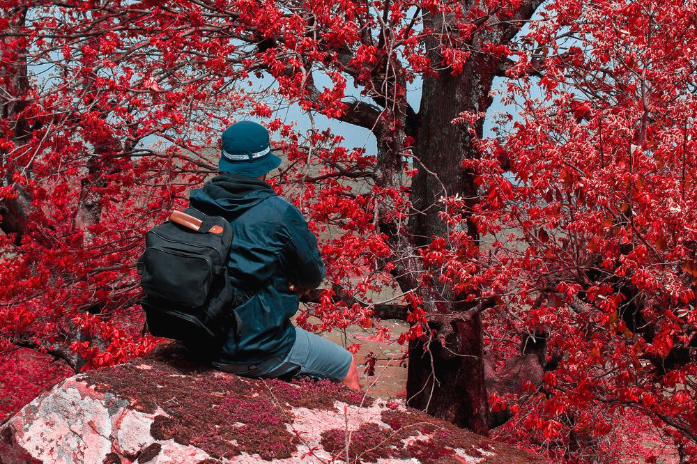 Photograph by Islam Traikia