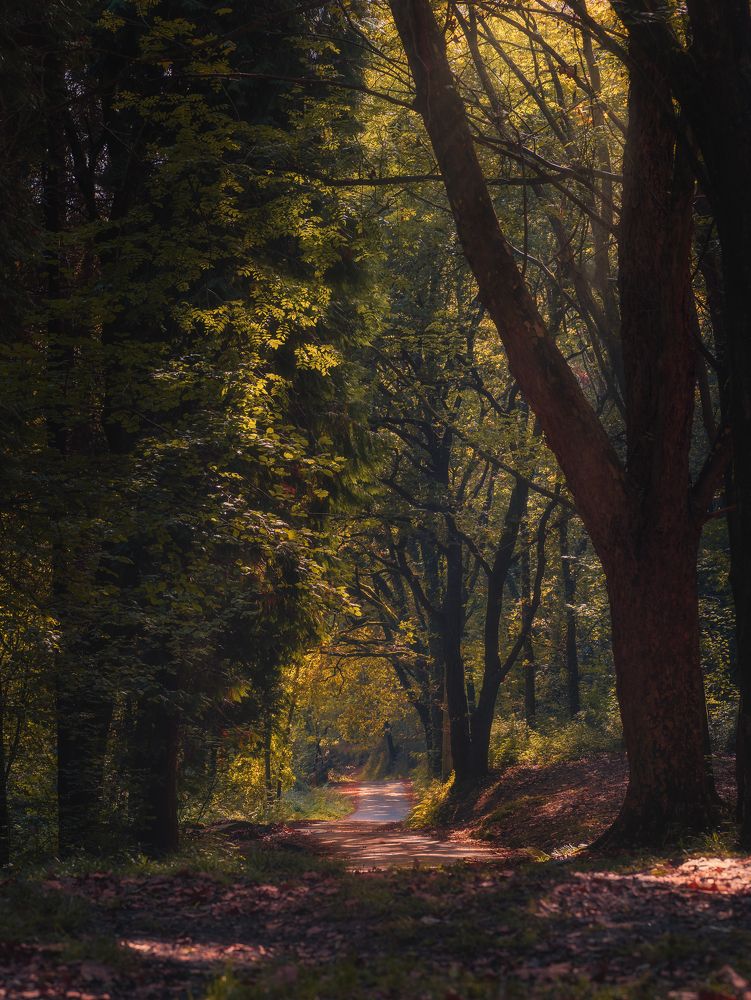 Photograph by Jorge Sastre