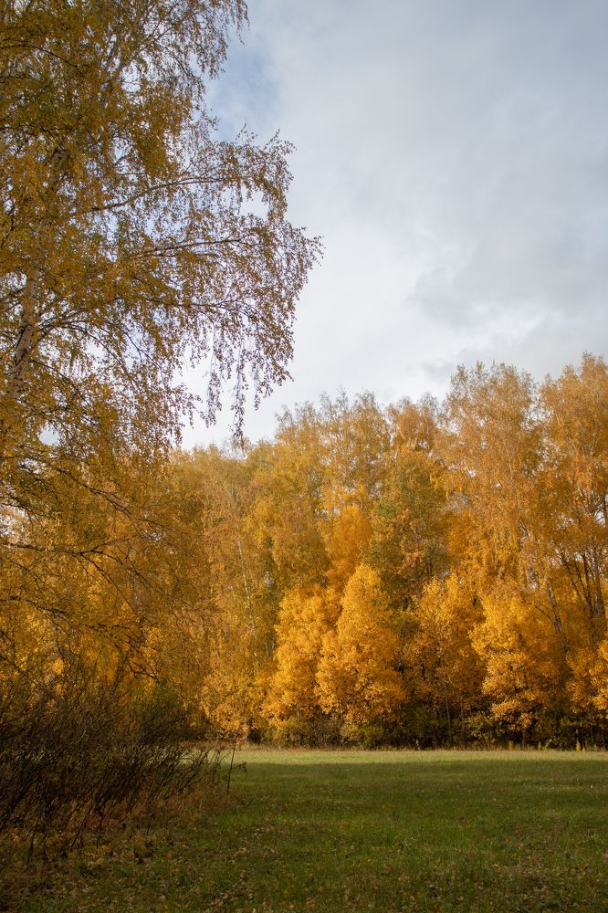 Photograph by Наталья Мотрий