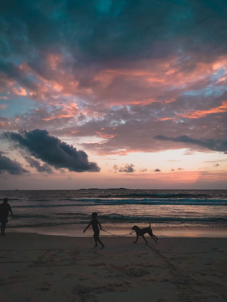 Photograph by Venkatesh r Kamath