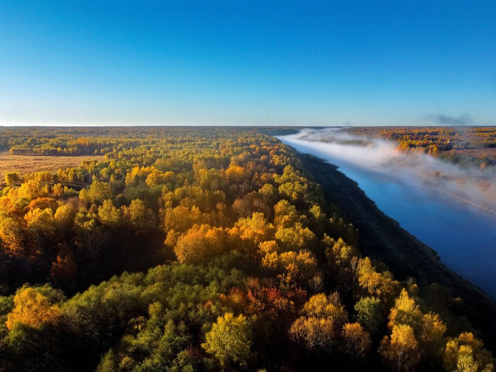 Осенний лес у реки ...