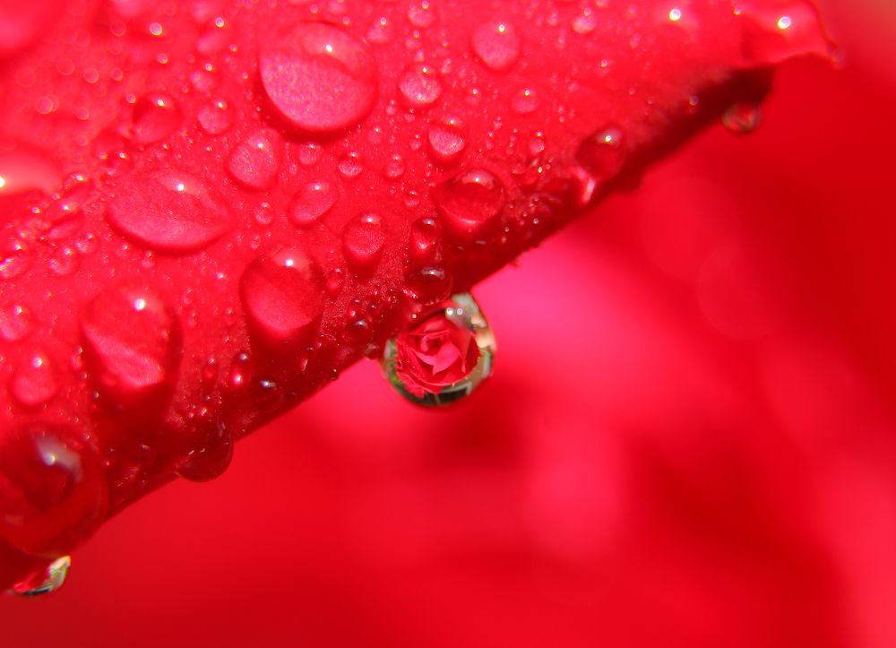 Photograph by Александр Шаварёв