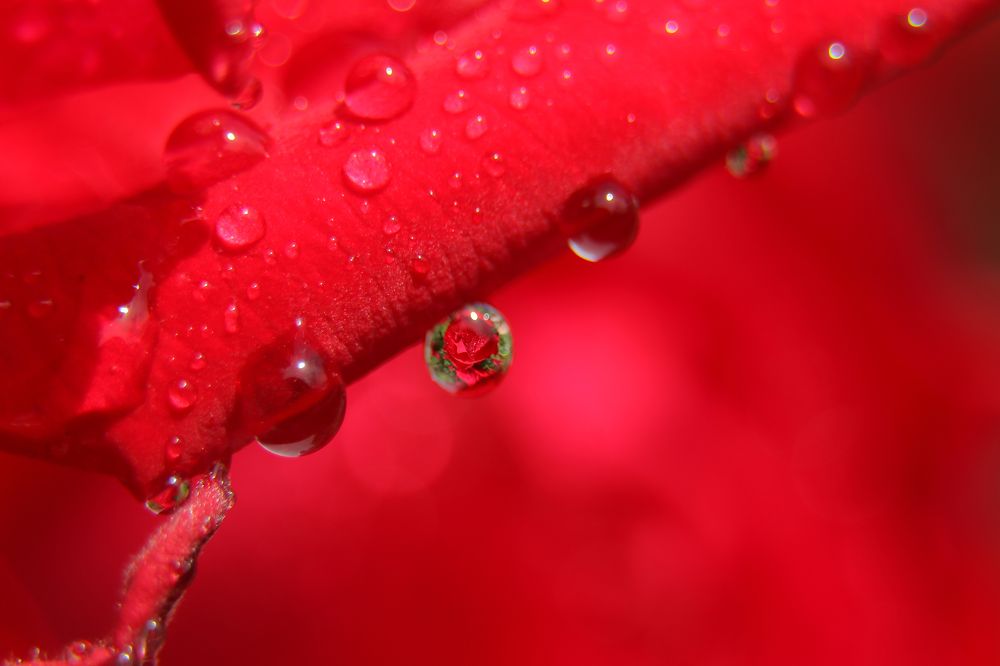 Photograph by Александр Шаварёв