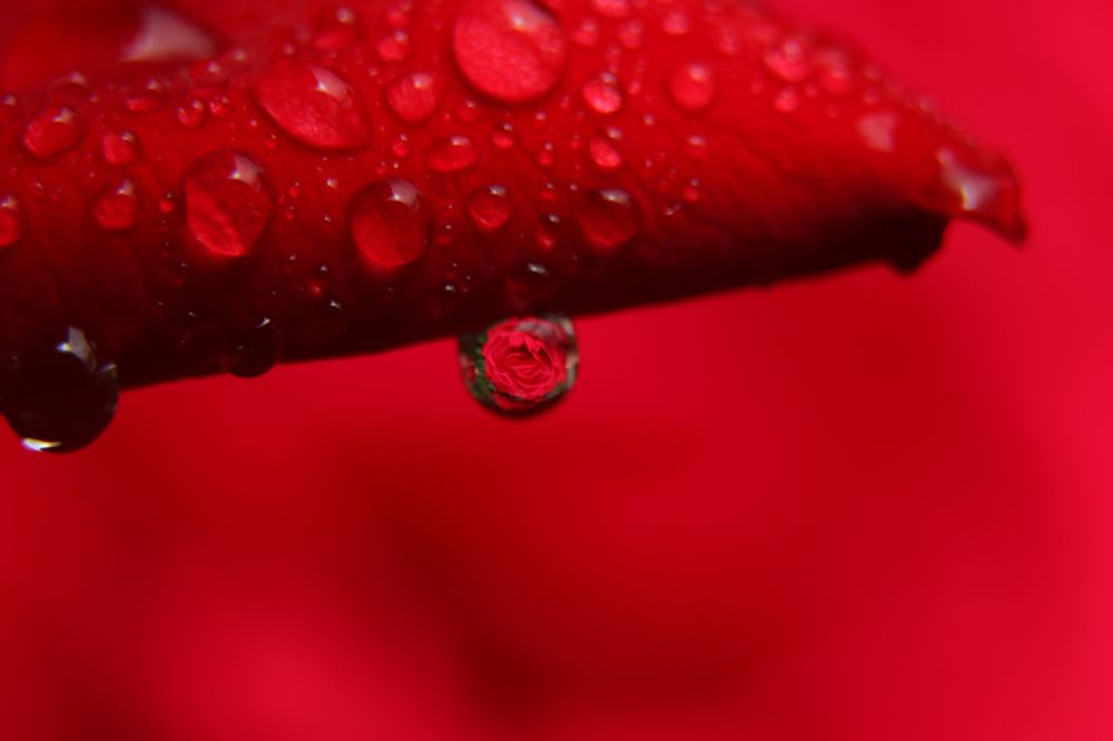 Photograph by Александр Шаварёв