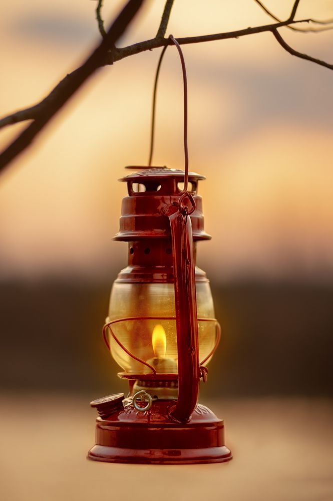 Photograph by Сивенок Елена