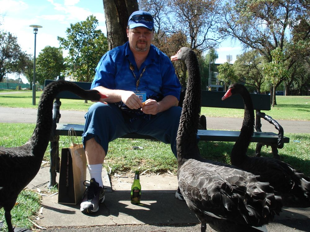 сообразим на компанию