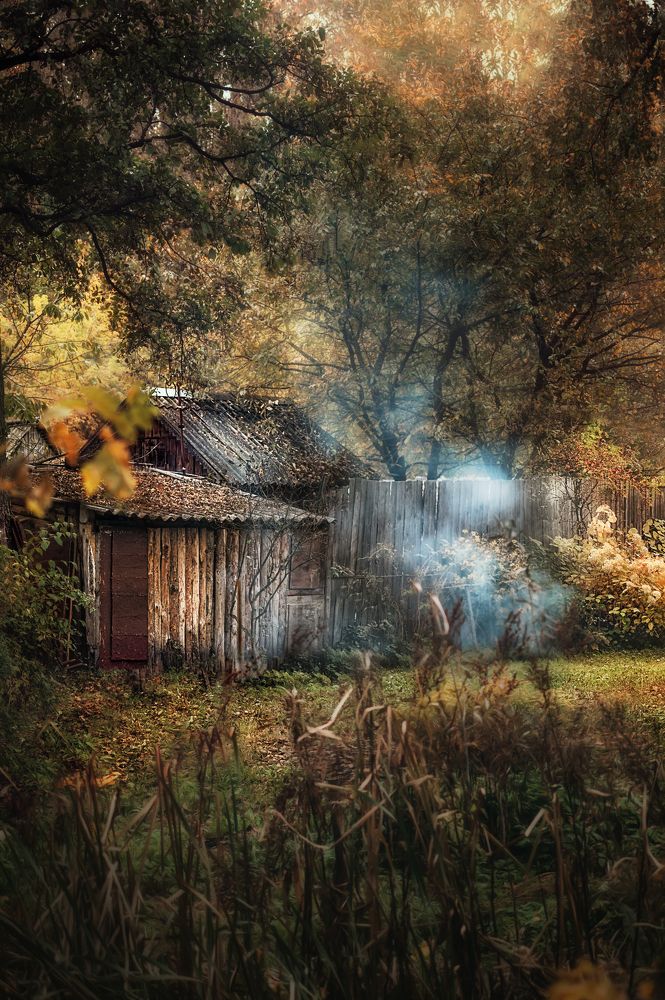 Photograph by Сивенок Елена