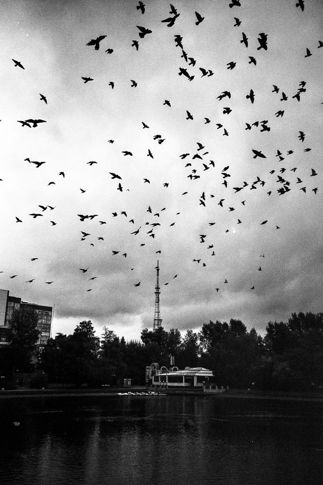 Photograph by Даниил Ошейко