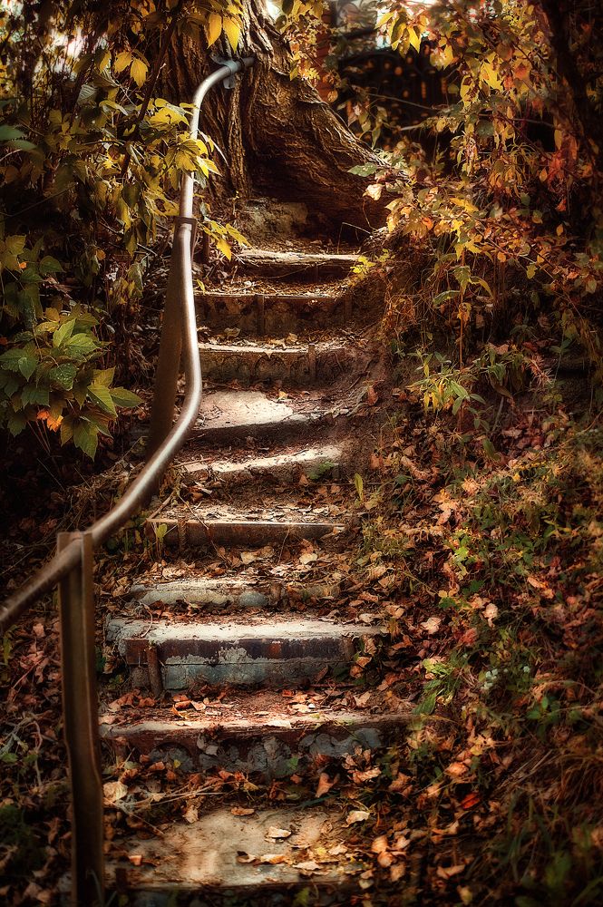 Photograph by Сивенок Елена