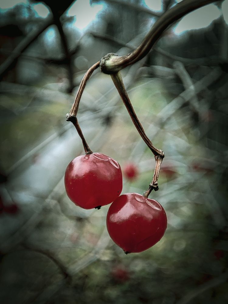 Photograph by Александра Петрова