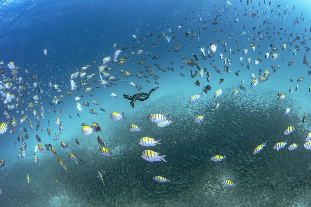 Photograph by Merche Llobera