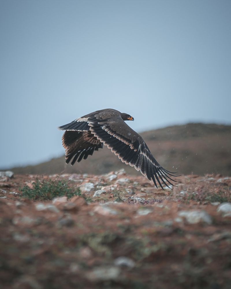 Photograph by Сергей Девятов