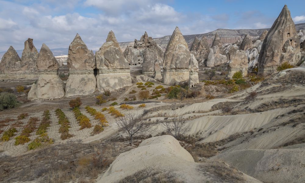 Photograph by Сергей Савчук