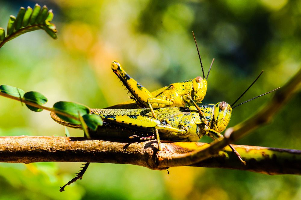 Photograph by tri yanto