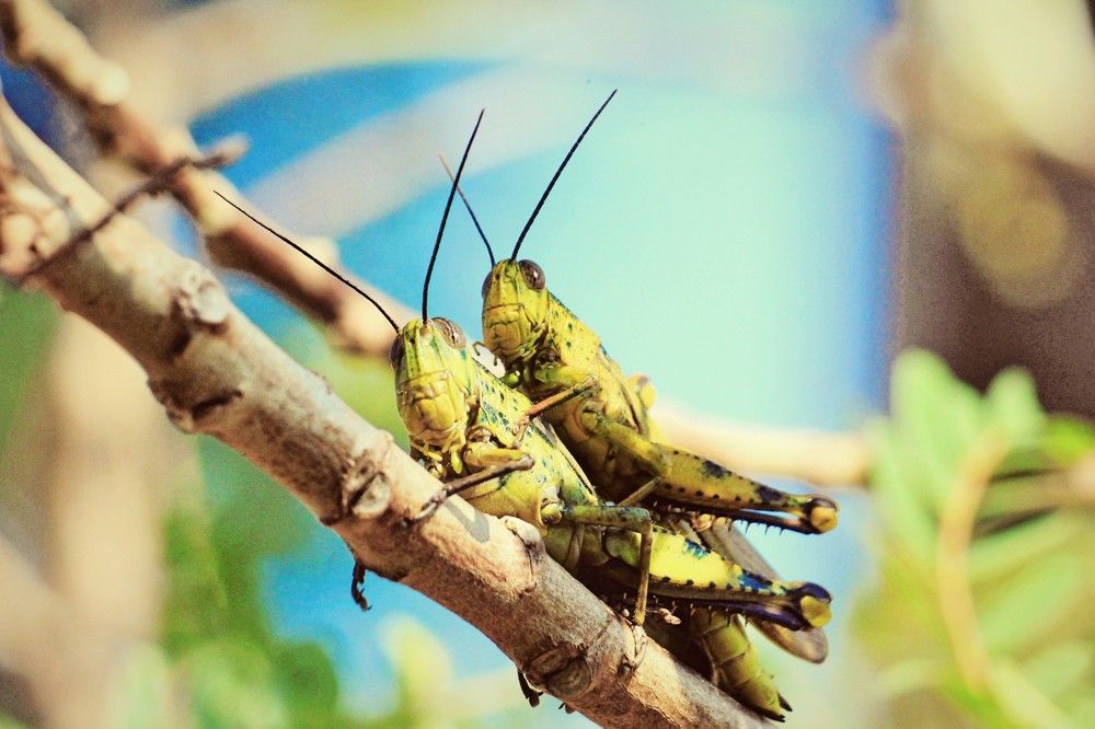 Photograph by tri yanto