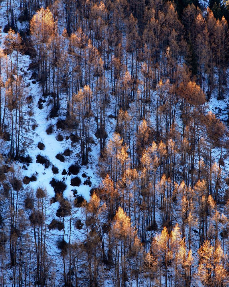 Photograph by Элина Магалимова