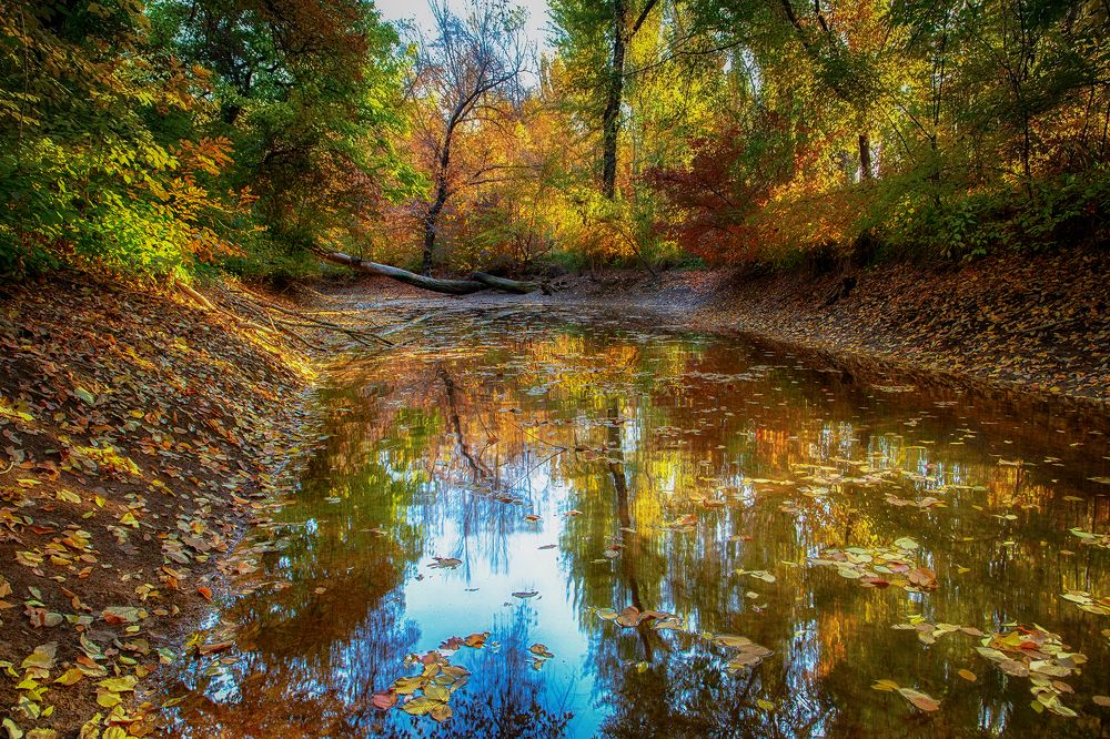 Photograph by Элина Магалимова