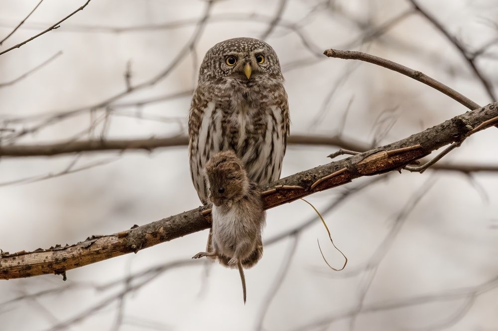 Photograph by Egor Rokita