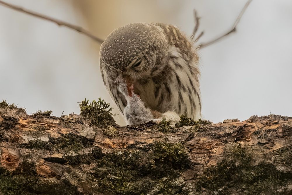 Photograph by Egor Rokita