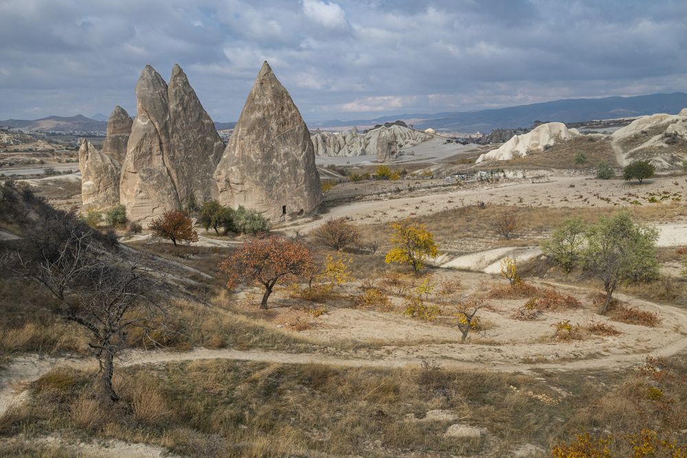 Photograph by Сергей Савчук