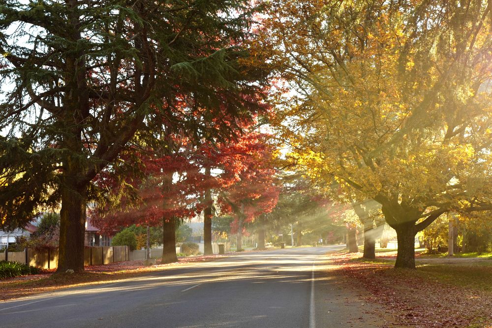 Photograph by Trinh Le