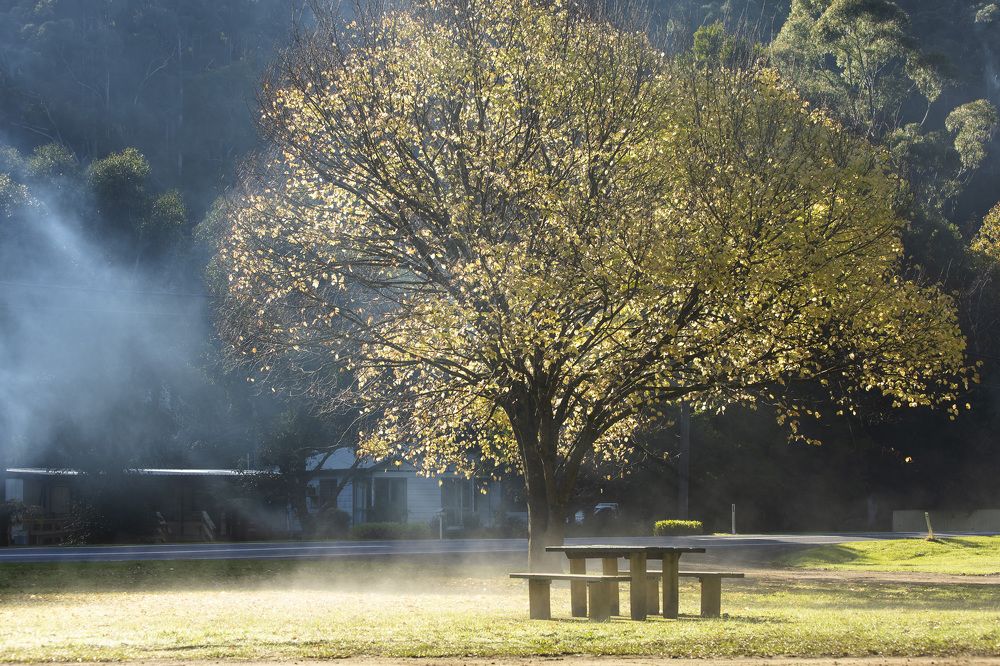 Photograph by Trinh Le