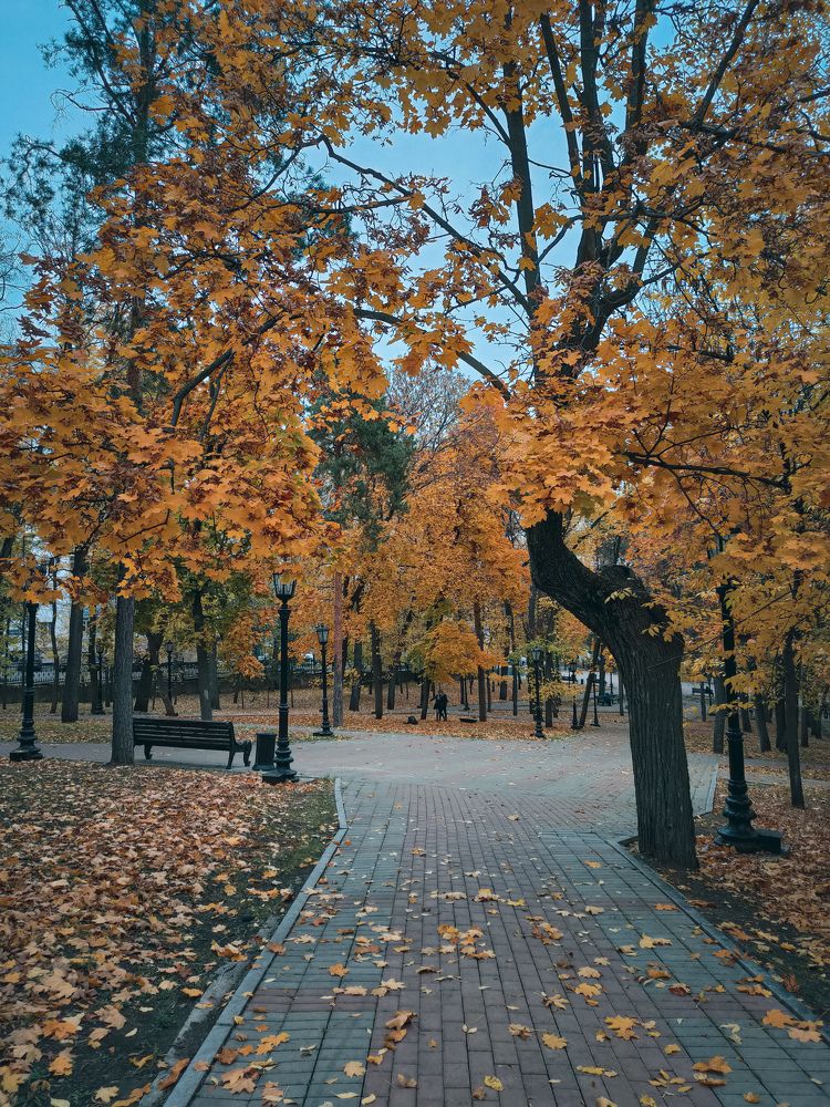 Photograph by Наиль Шакиров