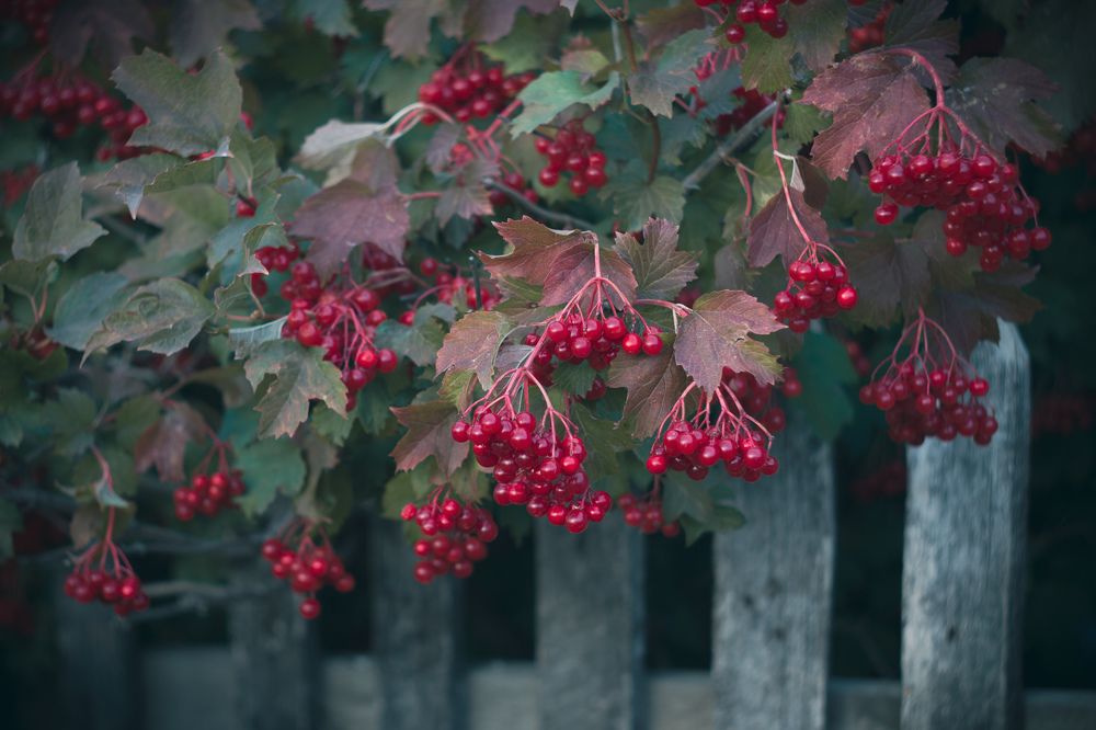 Photograph by Наиль Шакиров