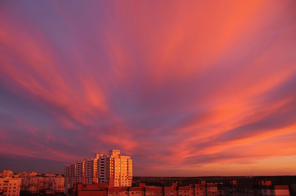 Розовый закат