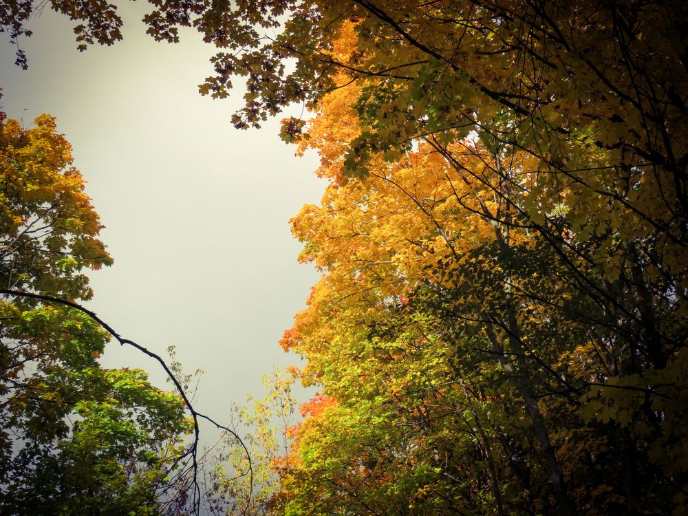 Photograph by Александр Бычков