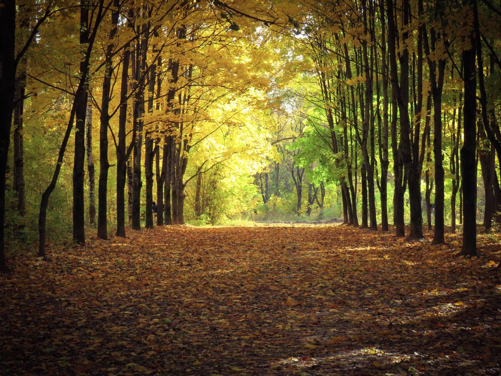 Photograph by Александр Бычков