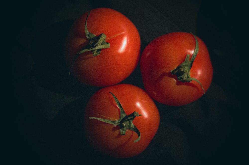 Photograph by Наиль Шакиров