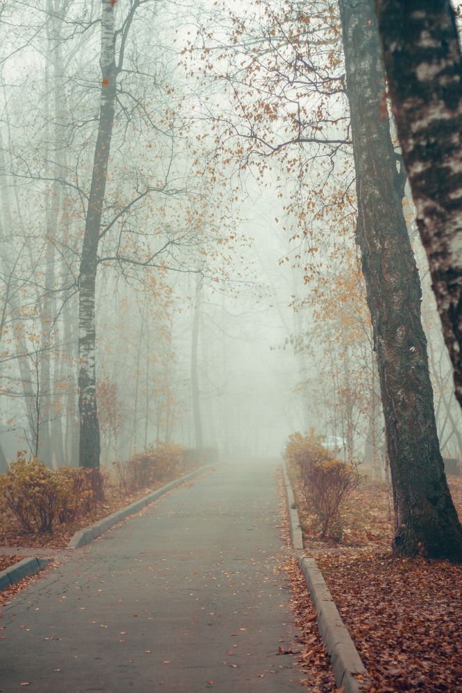 Photograph by Екатерина Фокина