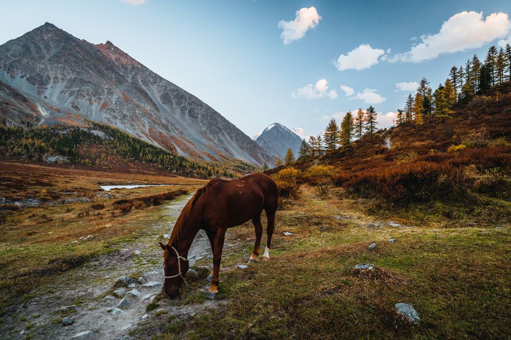 Photograph by Сергей Андрейчук